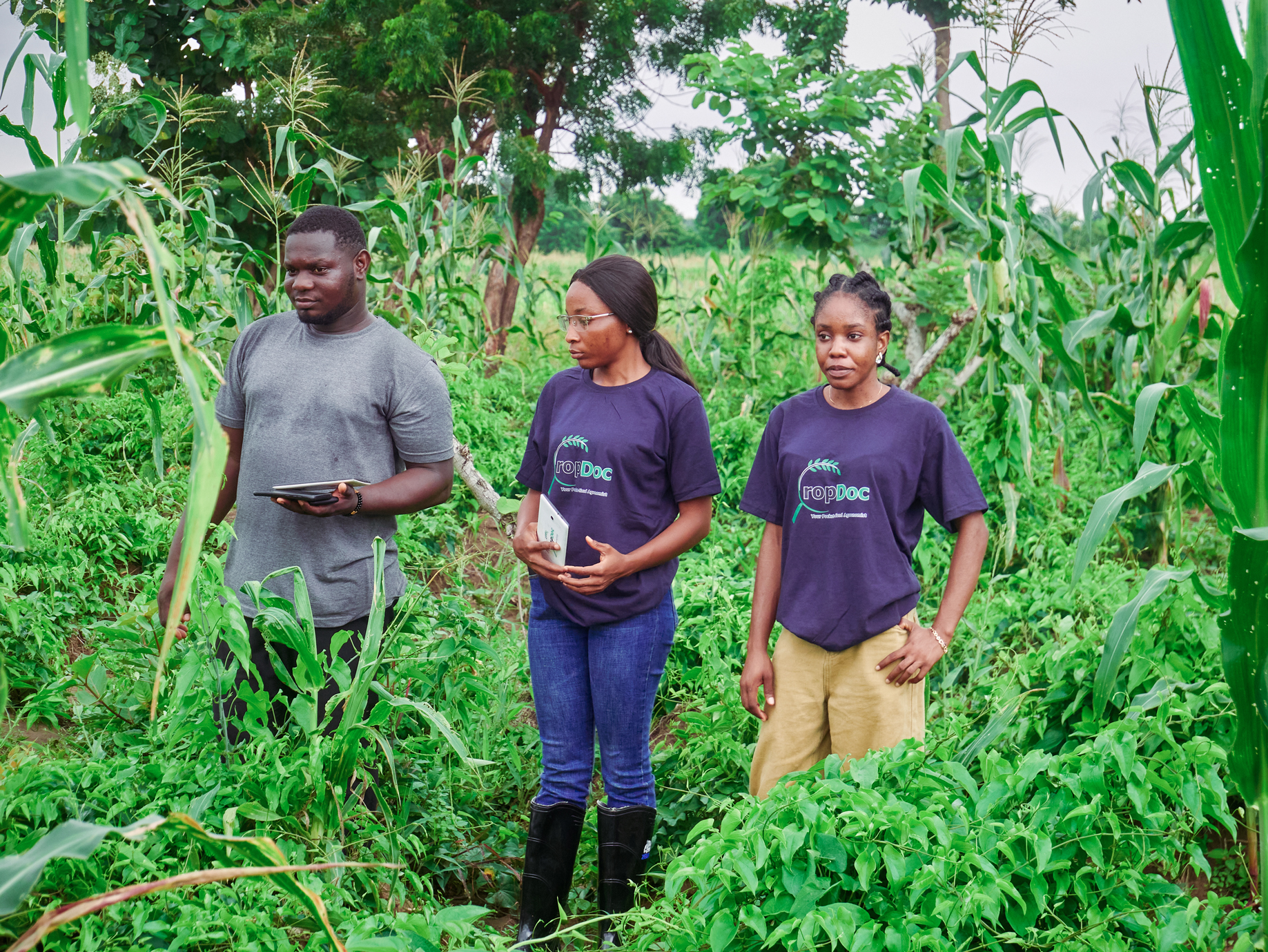 CropDoc team members and farmers using technology in the field