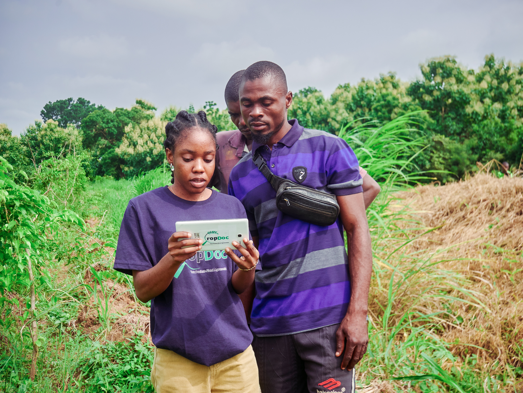 Farmers using CropDoc tablet in the field
